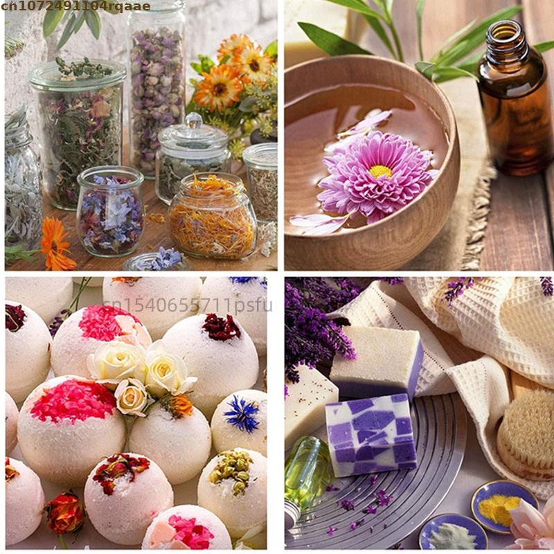 Frutta Secca di Alta Qualità:  - Soap Making Starter Kit recensione e prezzo